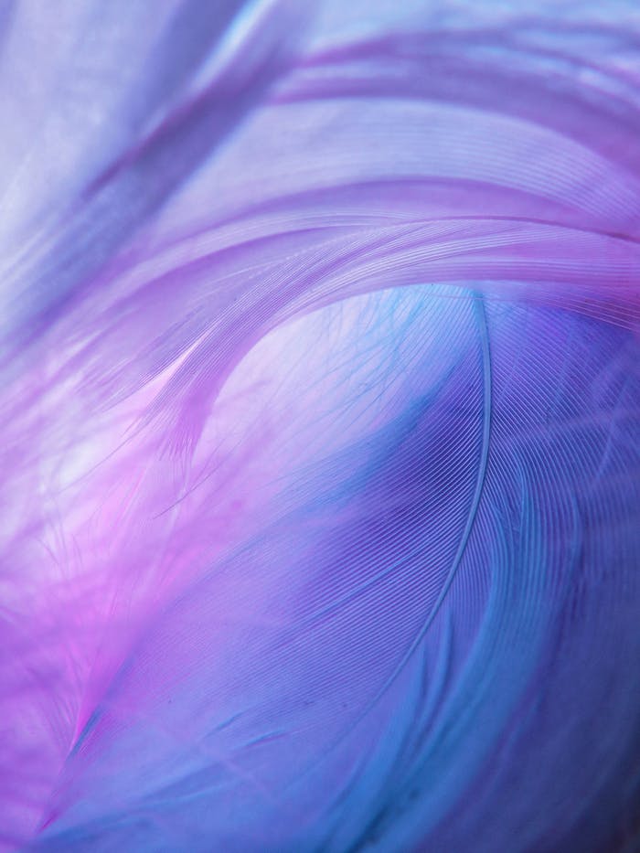 A soft, colorful abstract composition with dreamy pastel hues featuring blue and purple feather textures.